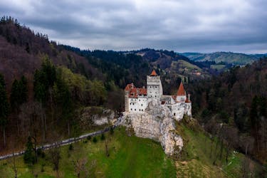 Brasov full-day castles and Bear Sanctuary tour